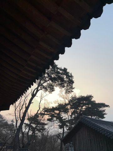 모니카방이에요1