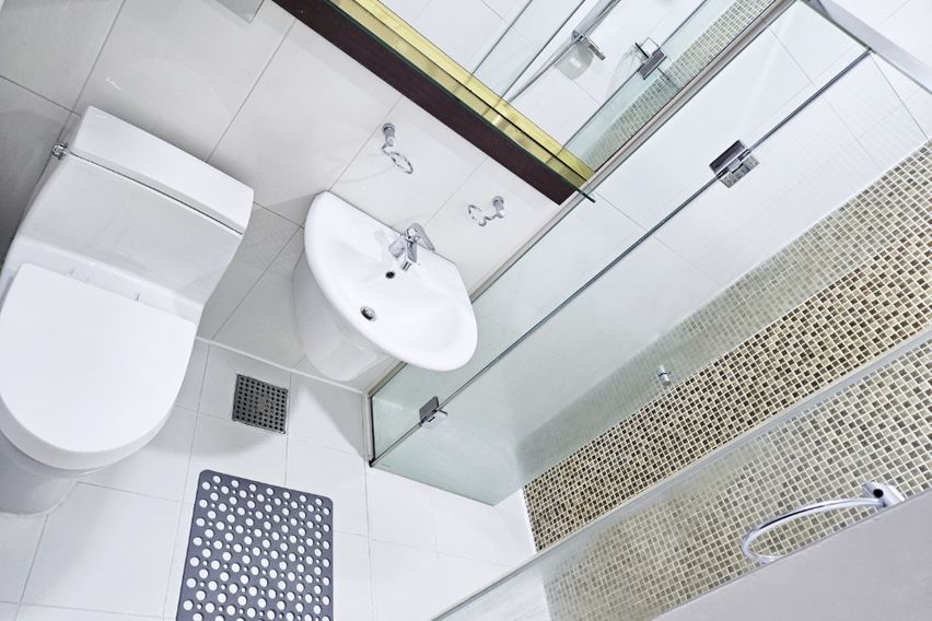 왕십리종로성수서울숲애견