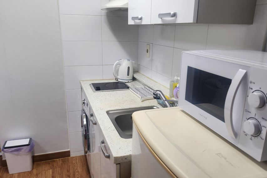 부산갈매기 501 특가