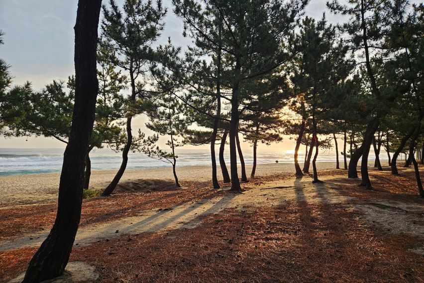 송정해변 솔숲 옆 숙소 17번째 이미지
