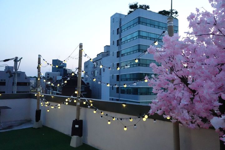 20평 단독옥상 2룸🌸 6번째 이미지