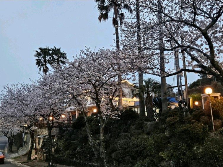[중문]산책&조용한숙소 15번째 이미지
