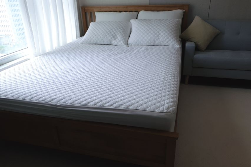 광주시청 뽀짝 옆