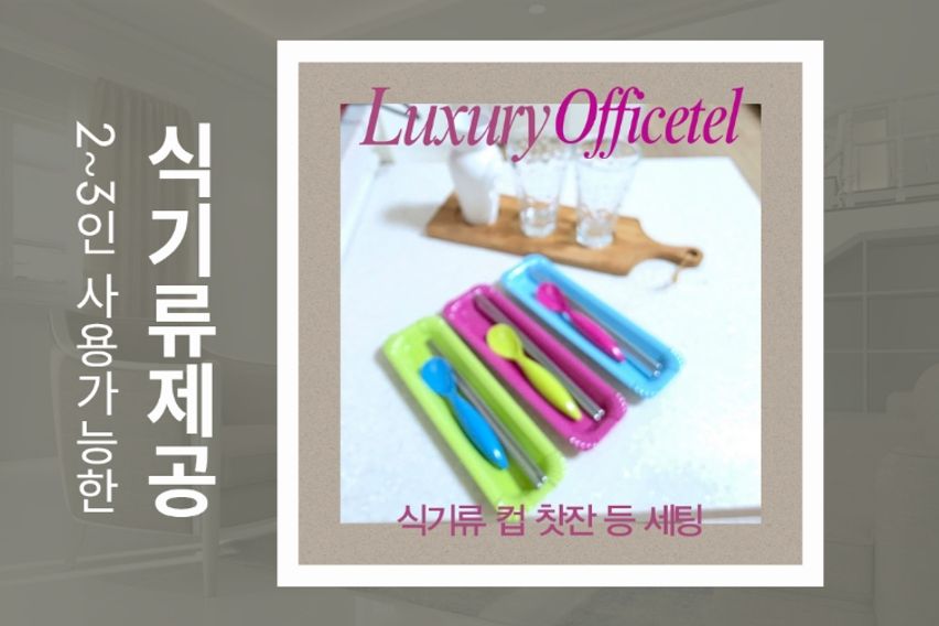 럭셔리 복층형 오피스텔