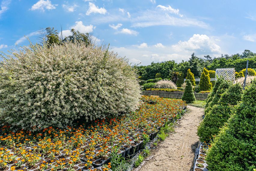 살림정원살이 림스1호