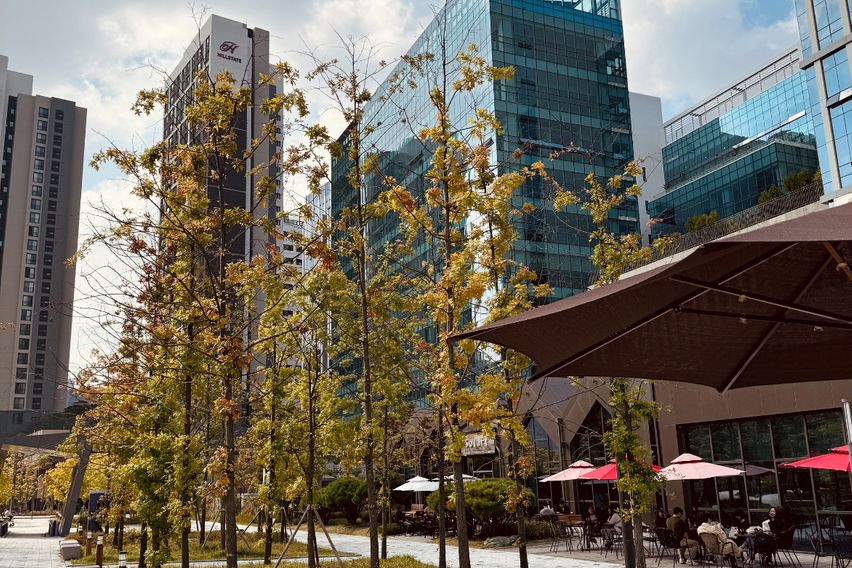 동탄대로풀옵션신축20평