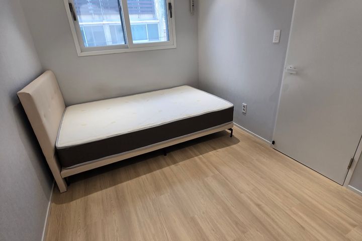 민들레 42 8번째 이미지