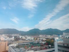 창원 도심1초 심플🍎 11번째 이미지