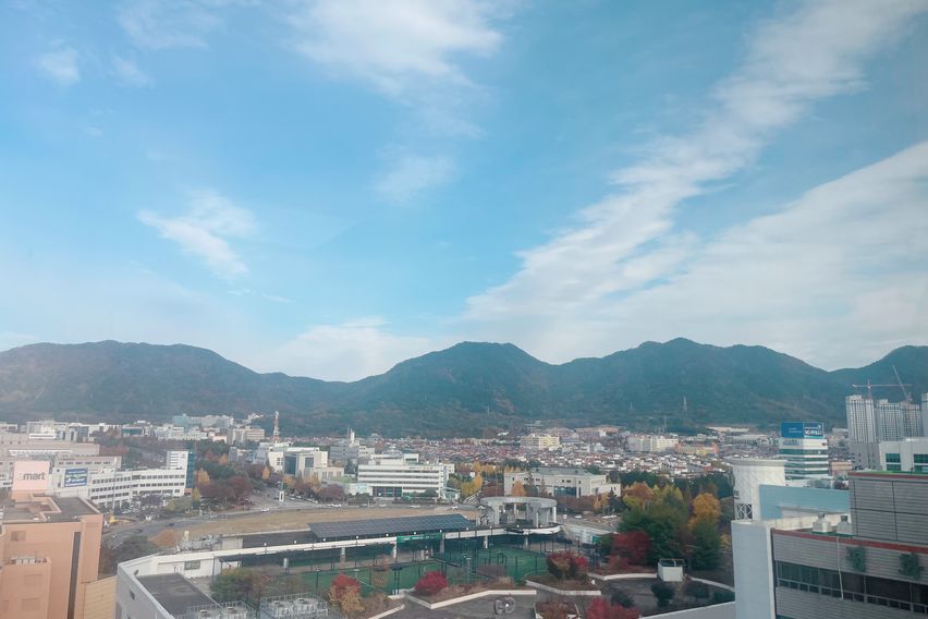 창원 도심1초 심플🍎