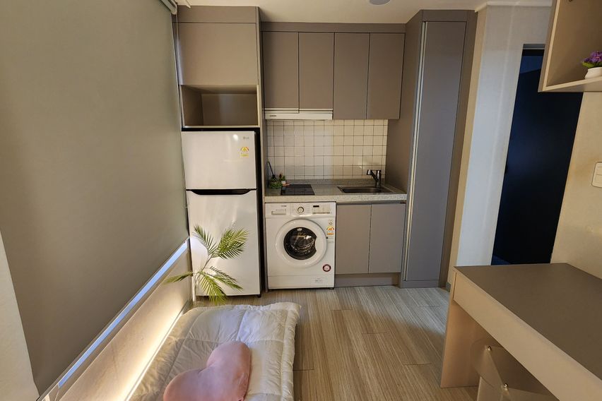 천호 오브 스테이 14번째 이미지