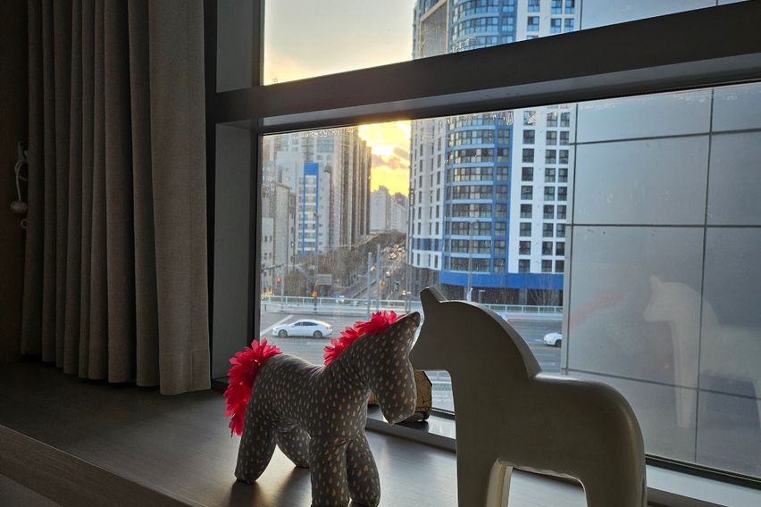 동대구핫플  도담하우스 10번째 이미지