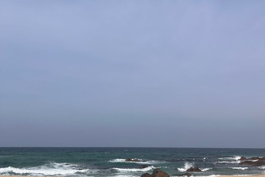 취소카드테스트방