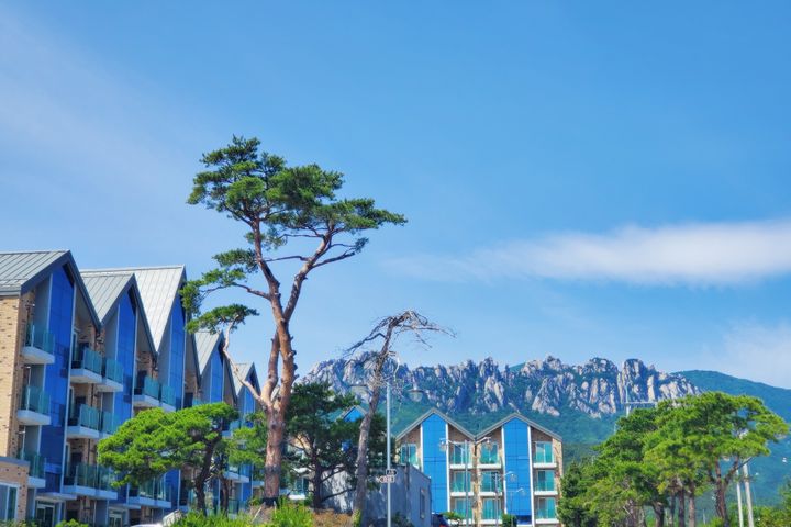 Sokcho Heidi Townhouse 1th image