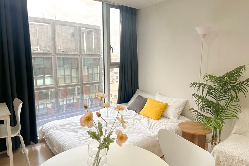 오픈특가🧡강남역초역세