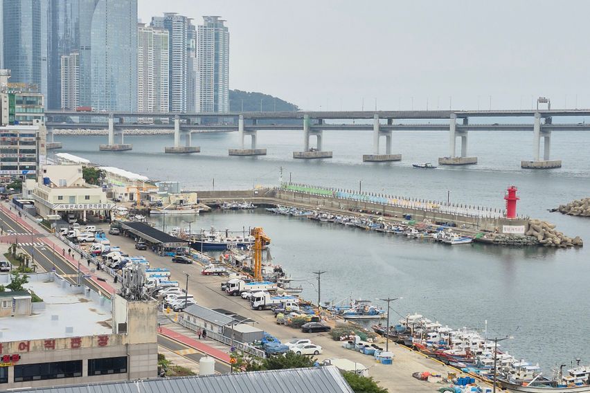 광안리 오션뷰 주차무료