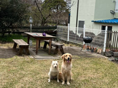 Hyeopjae Beach, Private House with a Yard 13th image