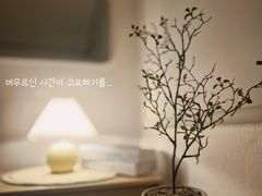 🌿장·단기 편안한 숙소 18번째 이미지