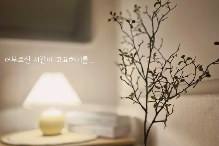 🌿장·단기 편안한 숙소 18번째 이미지