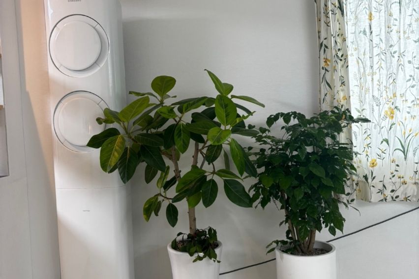 조용한쉼이 있는곳 5번째 이미지