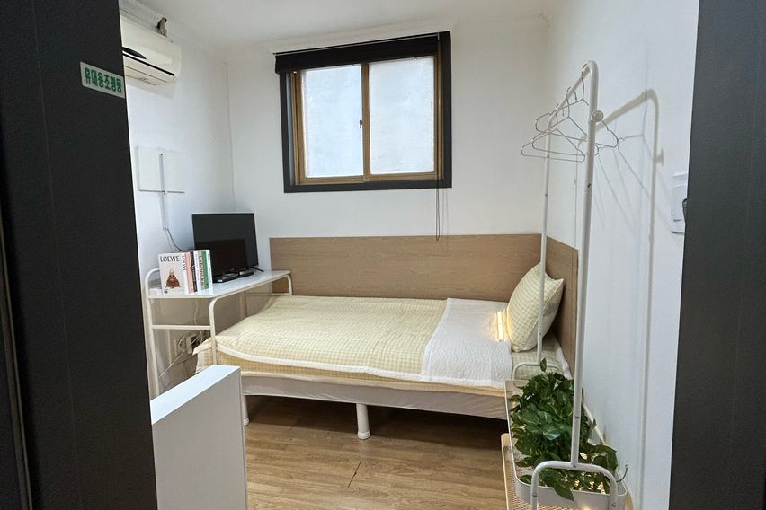 오드 스탠다드 105