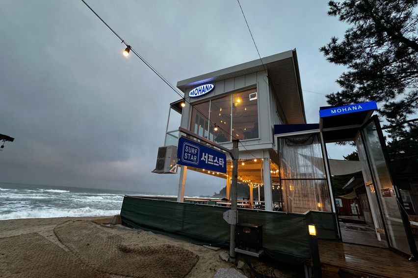 바닷가/넷플/숲세권애견