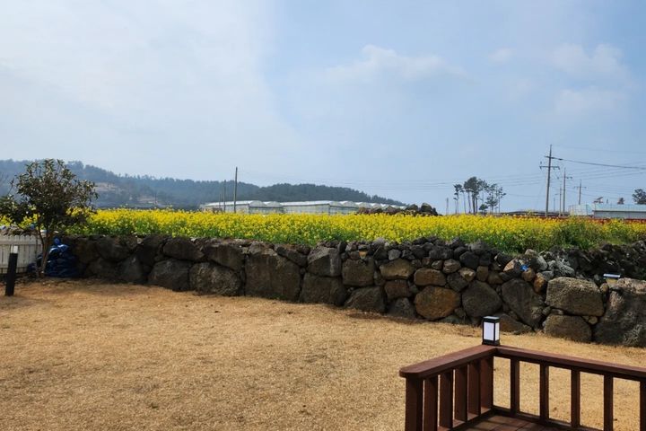 제주 대가족 돌담독채 5번째 이미지