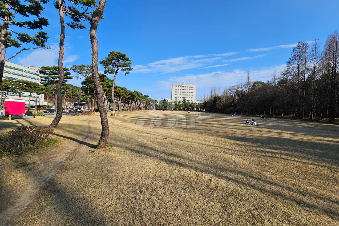 Cheongju City Center (B) ✅️ Chungbuk National 11th image