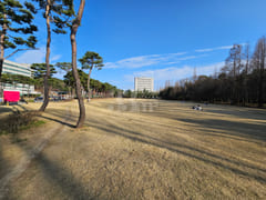 Cheongju City Center (B) ✅️ Chungbuk National 11th image
