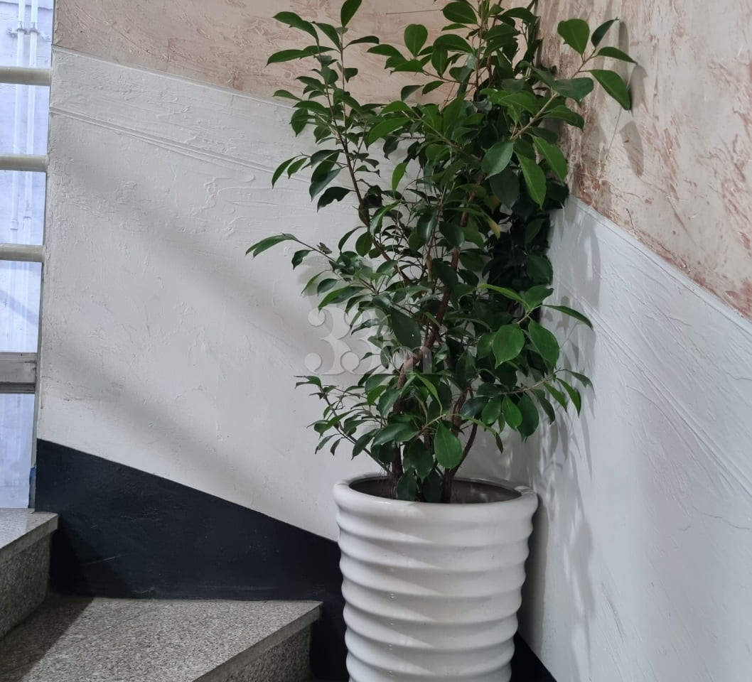Best value-for-money accommodation in Yuseong 4th image