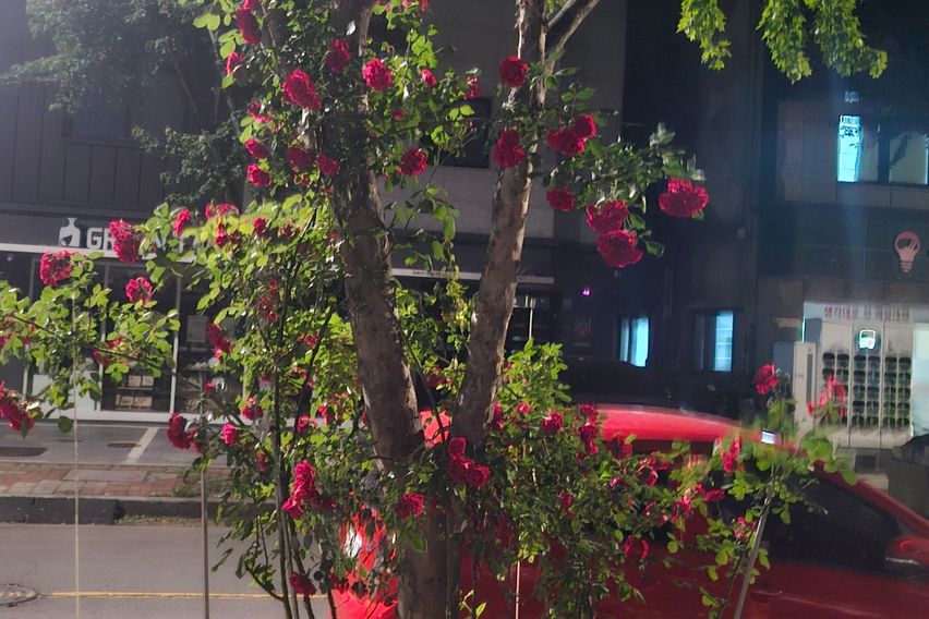 양산물금 아늑주택a2 17번째 이미지