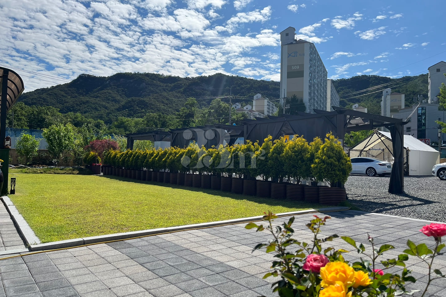 Cheonbosan Mountain: Pets allowed 4th image
