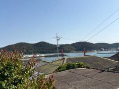 It's a seaside garden in Gijang-Ilgwang. 2th image