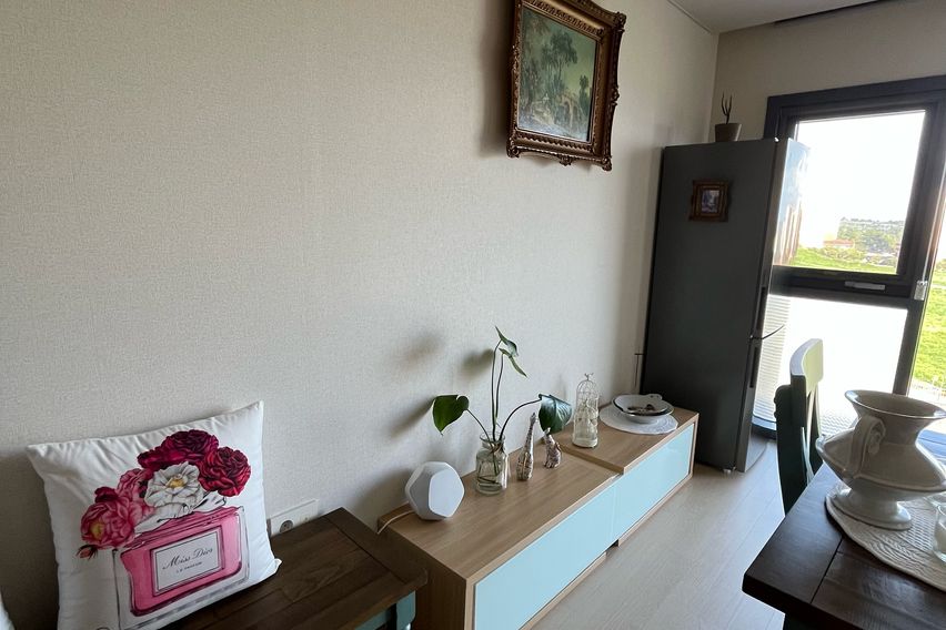  시로미 11번째 이미지