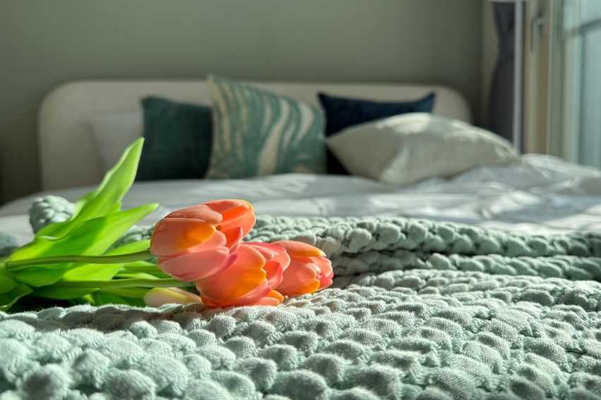 잠실감성오피오픈특가💕