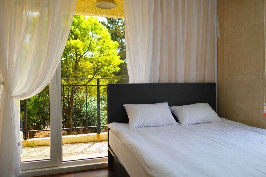 푸른숲17동반려견동반 1번째 이미지