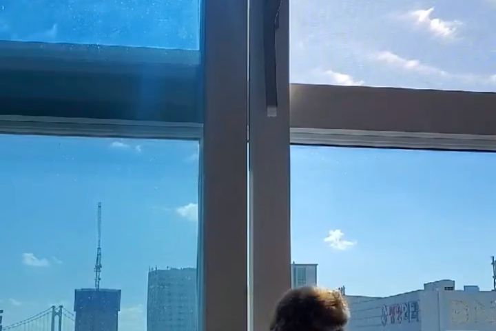 광안리도보5분광안대교뷰 0번째 이미지