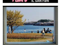 산속 자연과 새소리안전 11번째 이미지