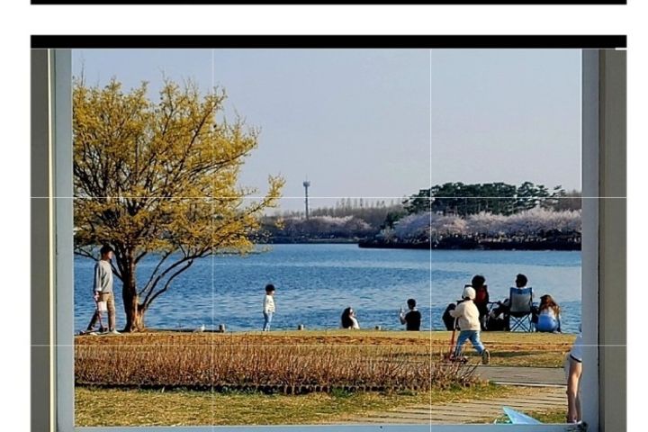 산속 자연과 새소리안전 11번째 이미지