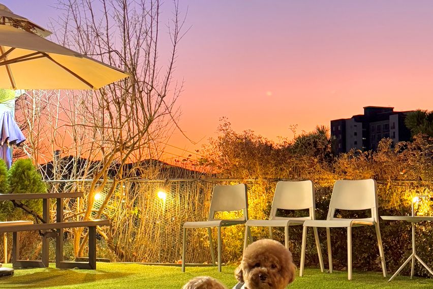 부산 해운대 중동역1분 10번째 이미지