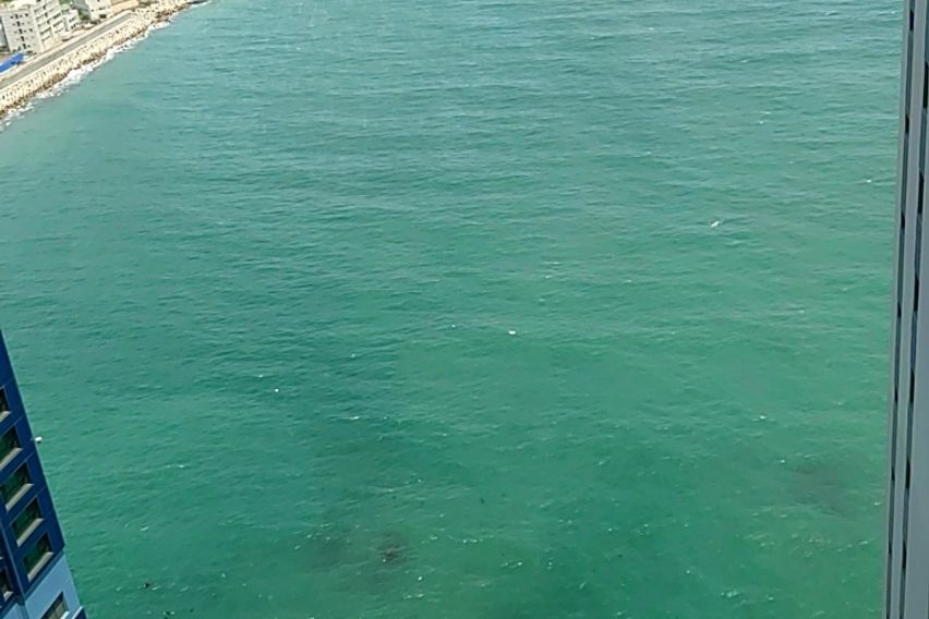 신축 오션 마운틴 뷰 15번째 이미지