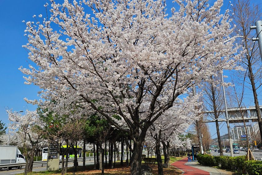 롯데백화점 맞은편 숙소 17번째 이미지