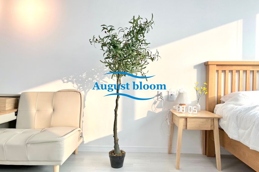 특가🧡위치1등범계2분 3번째 이미지