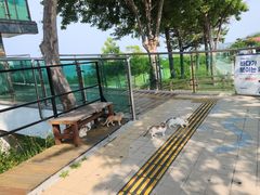 #동해 신비아파트성수기 6번째 이미지