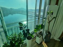 River view, living room veranda extended 2th image