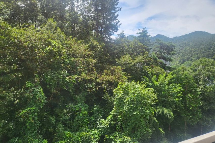 우정의집  6번째 이미지