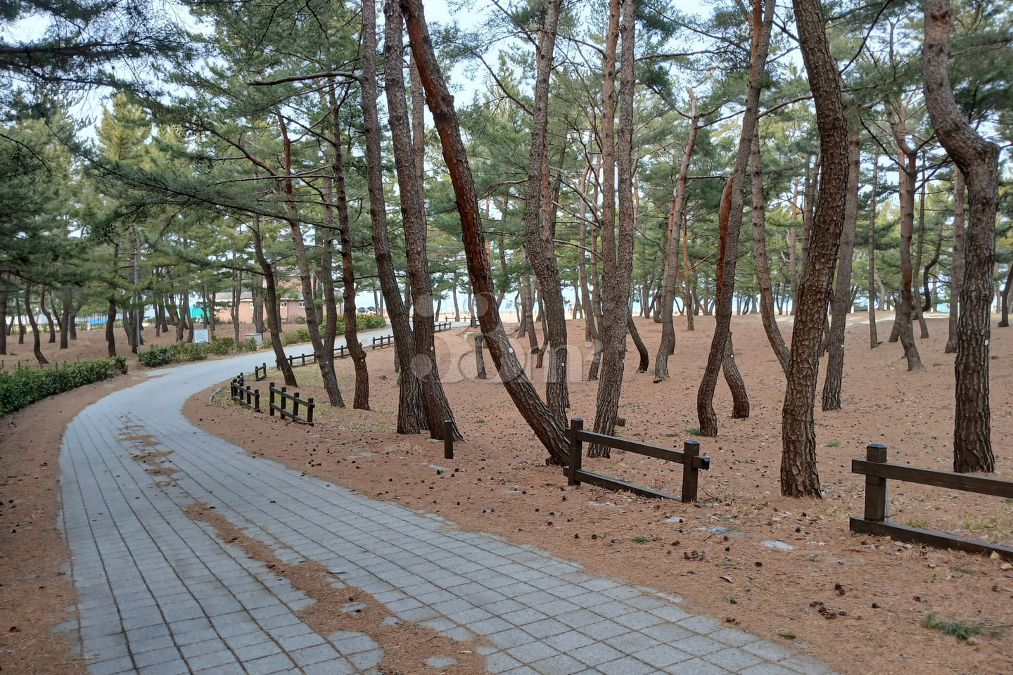 Unit 105, Donghwa Villa 7th image