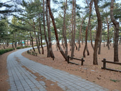 Unit 105, Donghwa Villa 7th image