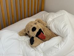 광안리도보3분 수영구청 0번째 이미지
