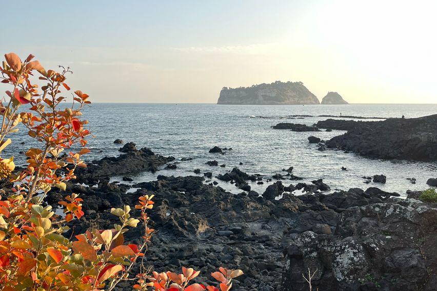 법환포구마을 돌담집