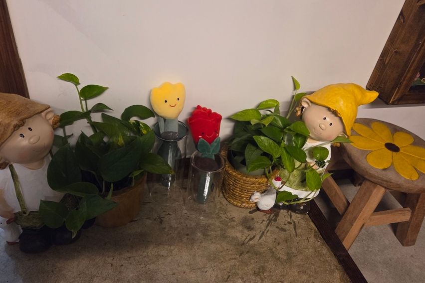 제주 머물다 12번째 이미지